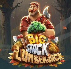 Big Stack_Friday Casino slot-pelikokemus – laatu ja monipuolisuus